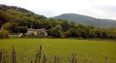  روستای آبک سر شهرستان مازندران استان ساری