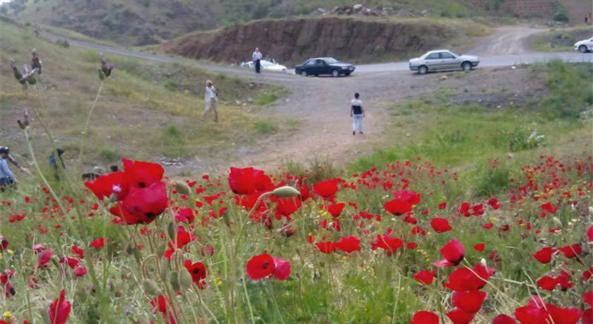  روستای حمید آباد شهرستان مازندران استان ساری