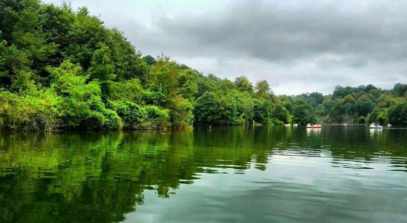 پارک جنگلی کشپل -  شهر نور