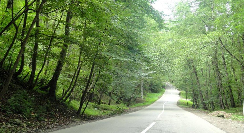 پارک جنگلی کشپل -  شهر نور