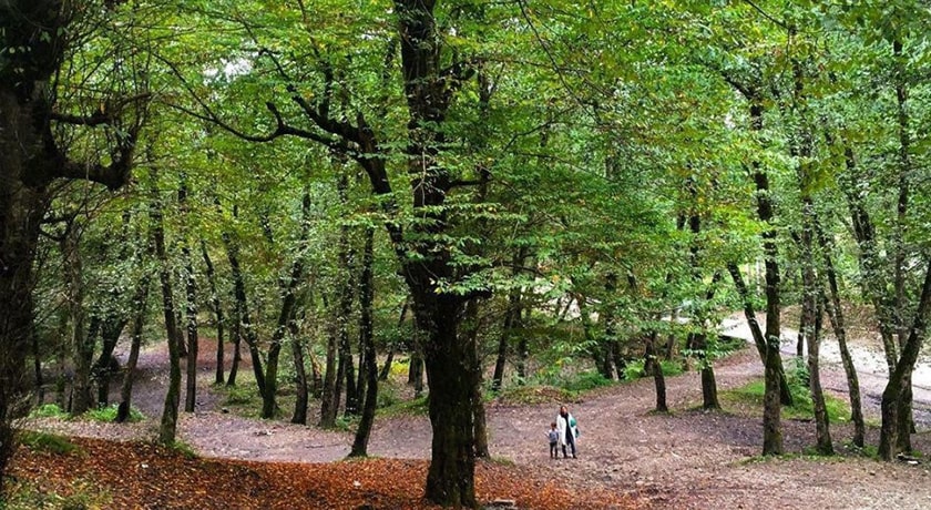 پارک جنگلی کشپل -  شهر مازندران