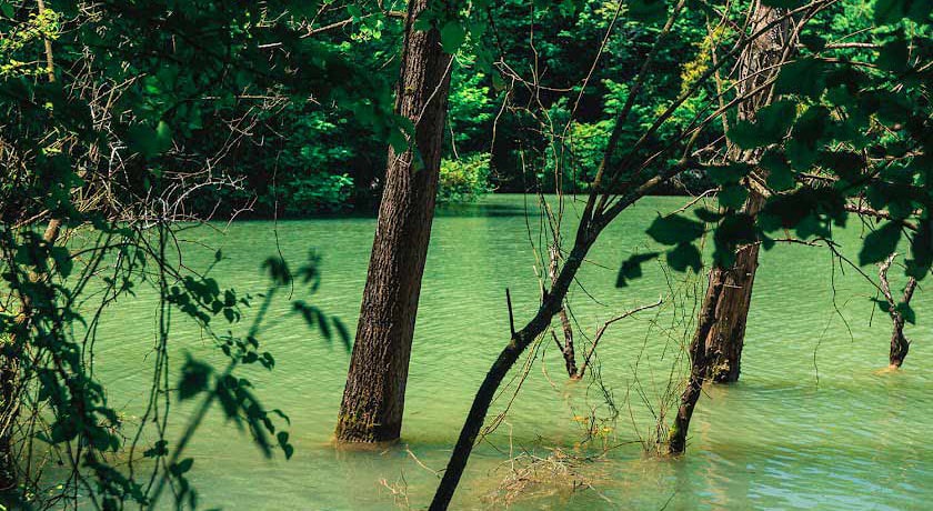 دریاچه الیمالات -  شهر نور