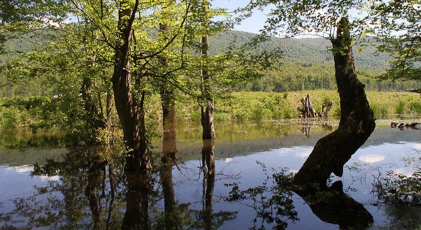  روستای ازنی شهرستان مازندران استان ساری