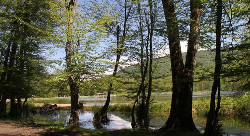  روستای ازنی شهرستان مازندران استان ساری