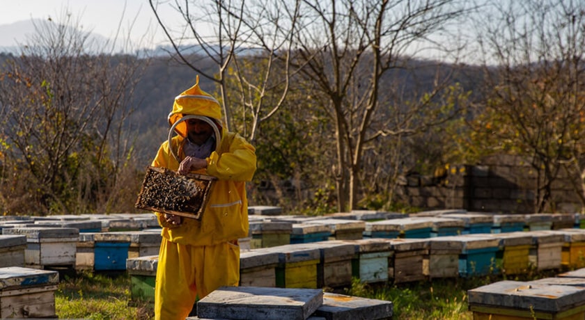  روستای اسبوکلا شهرستان مازندران استان ساری