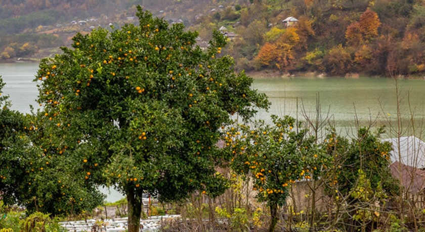 روستای اسبوکلا -  شهر مازندران