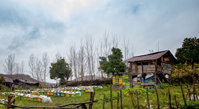 روستای اسبوکلا -  شهر مازندران