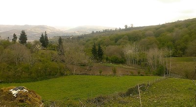  روستای سلیم شیخ شهرستان مازندران استان ساری