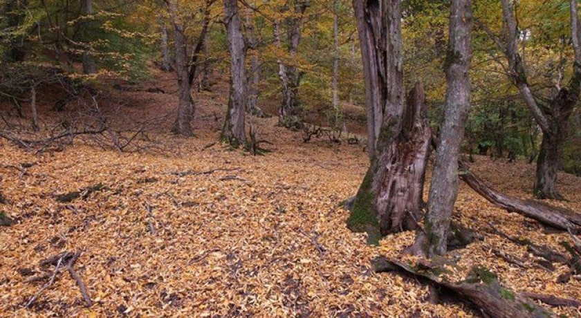 روستای کالج شهرستان مازندران استان نور