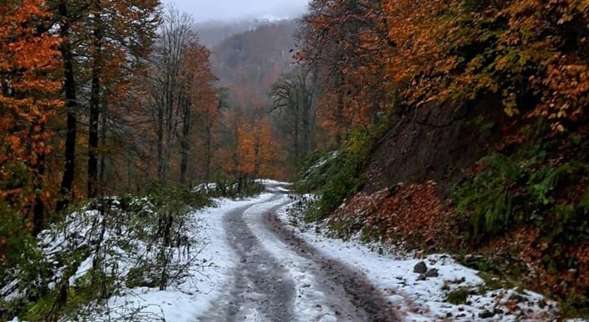 دهستان لاویج -  شهر نور