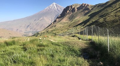  قله پاشوره شهرستان فارس استان لارستان