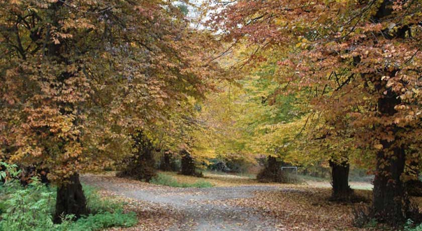  پارک جنگلی بابلکنار (بزچفت) شهرستان مازندران استان بابل