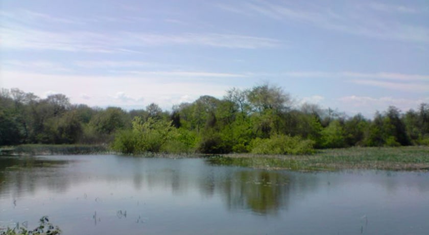 پارک جنگلی تشبندان شهرستان مازندران استان محمود آباد	