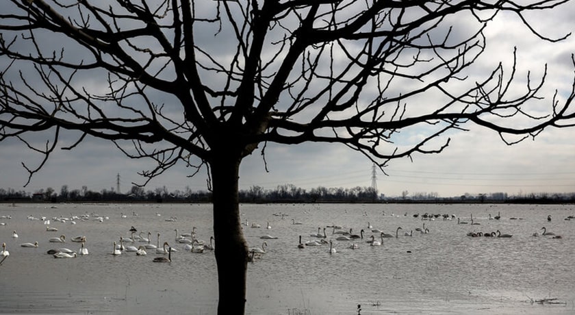 تالاب سرخ رود -  شهر محمود آباد	