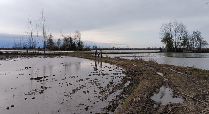 تالاب سرخ رود -  شهر محمود آباد	