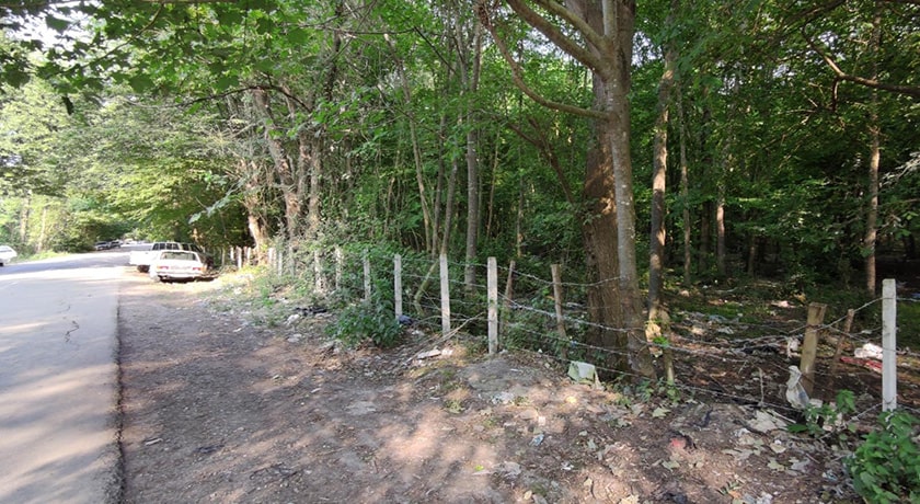 جنگل بونده -  شهر محمود آباد	