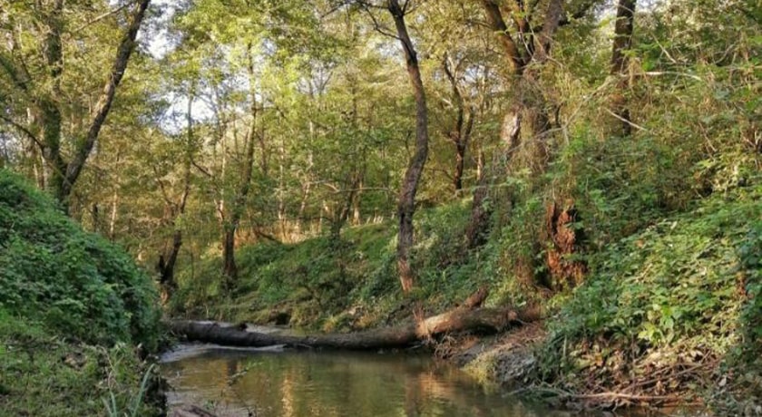  روستای اهلم شهرستان مازندران استان محمود آباد	