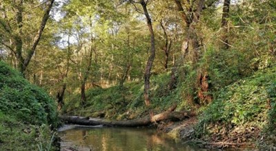  روستای اهلم شهرستان مازندران استان محمود آباد	