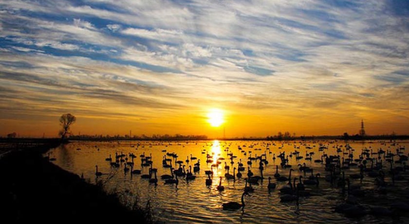 ساحل سرخرود -  شهر محمود آباد	