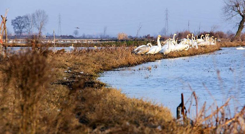  ساحل سرخرود شهرستان مازندران استان محمود آباد	