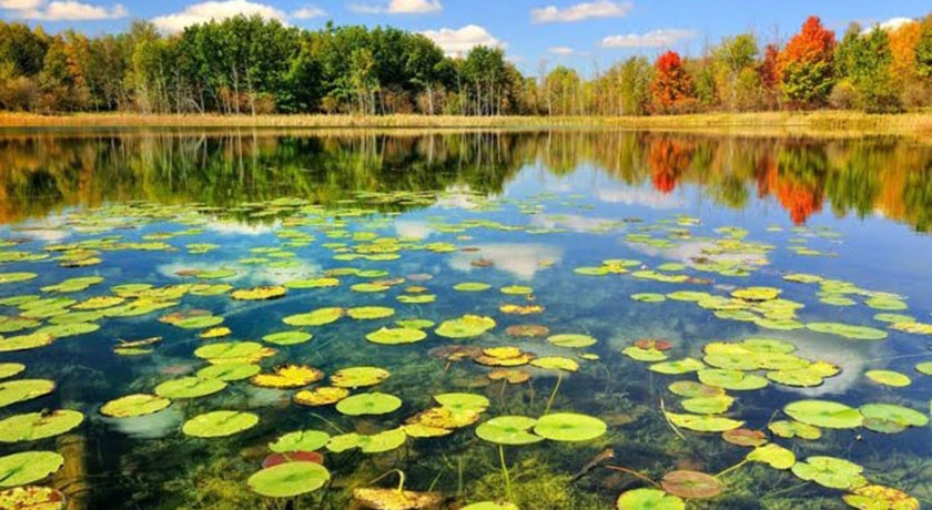 تالاب حیدر کلا -  شهر بابل