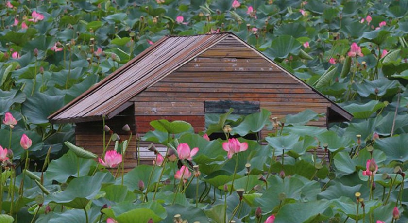  تالاب حیدر کلا شهرستان مازندران استان بابل