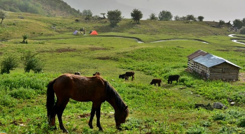 روستای کارمزد -  شهر پل سفید