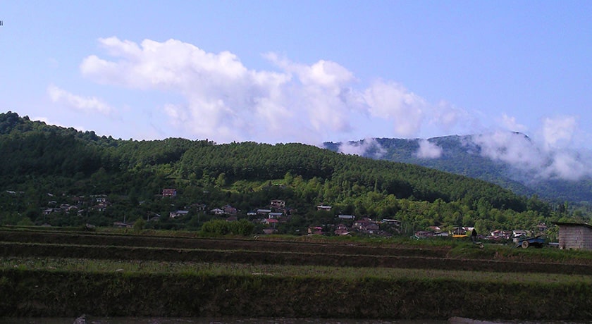 روستیای کلیج خیل -  شهر شیرگاه