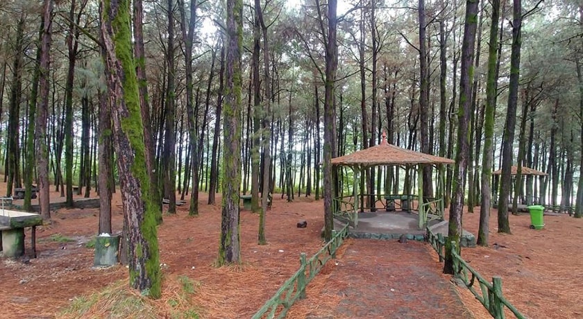 پارک جنگلی بی بی یانلو -  شهر گیلان