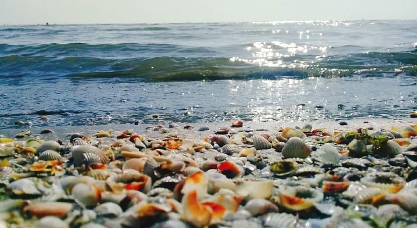 ساحل صدف -  شهر گیلان