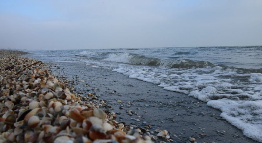 ساحل صدف -  شهر گیلان