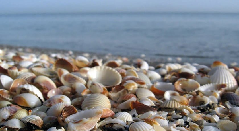 ساحل صدف -  شهر گیلان