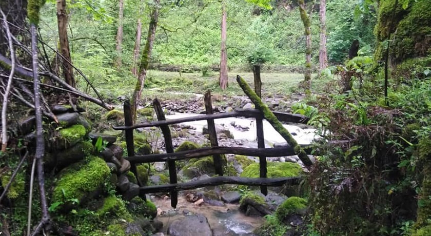  روستای سرین شهرستان مازندران استان پل سفید