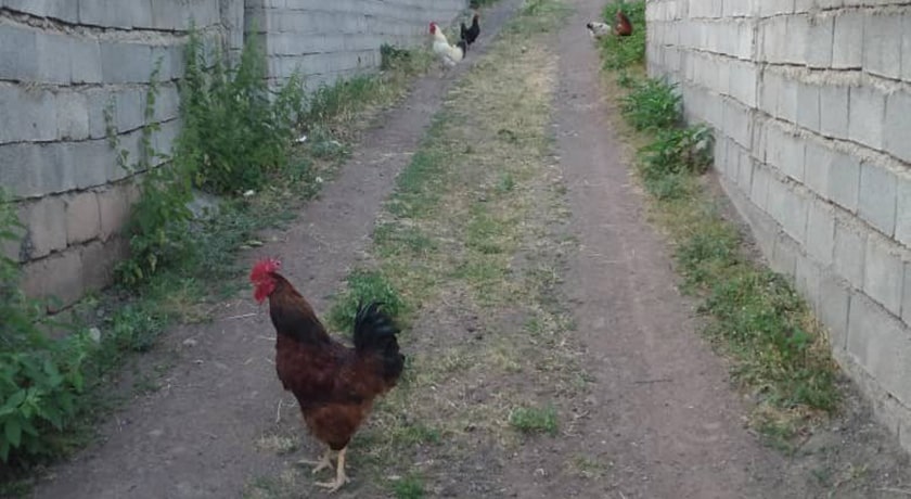  روستای سرین شهرستان مازندران استان پل سفید