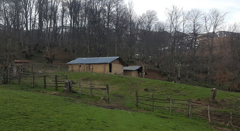  روستای کمر پشت شهرستان مازندران استان پل سفید