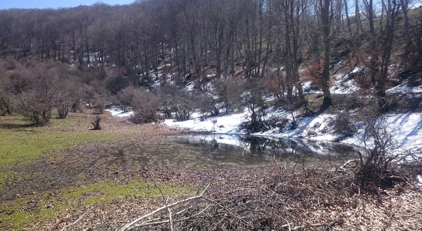  روستای کمر پشت شهرستان مازندران استان پل سفید