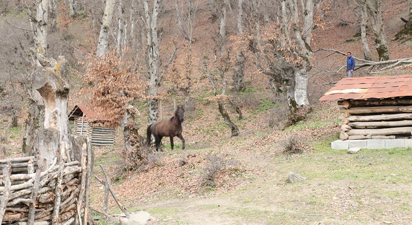 روستای کمر پشت -  شهر پل سفید