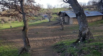 روستای کمر پشت -  شهر پل سفید