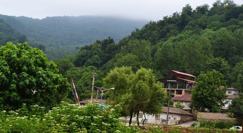 زیراب سوادکوه -  شهر شیرگاه