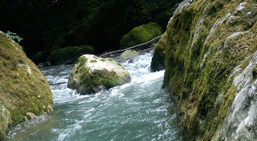 نارنج بن شیرگاه -  شهر شیرگاه