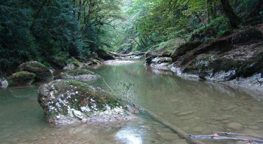 نارنج بن شیرگاه -  شهر شیرگاه