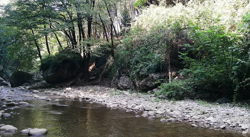 نارنج بن شیرگاه -  شهر شیرگاه