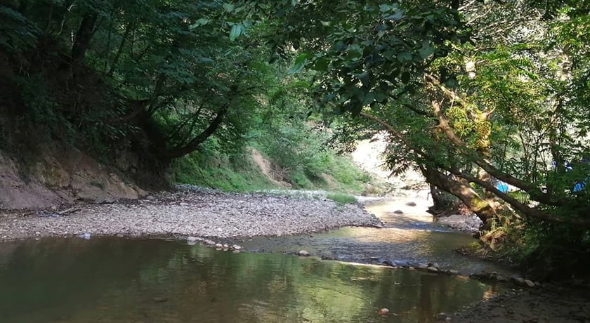  نارنج بن شیرگاه شهرستان مازندران استان شیرگاه