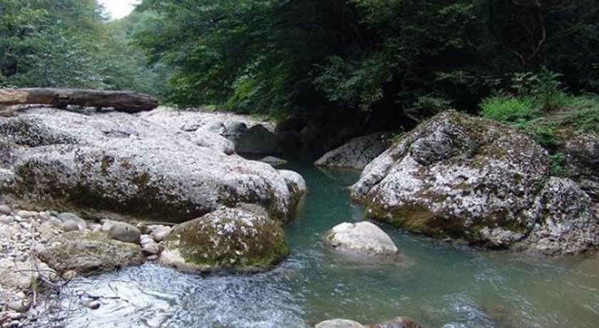 نارنج بن شیرگاه -  شهر شیرگاه