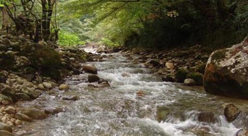 نارنج بن شیرگاه -  شهر شیرگاه