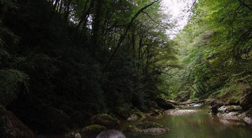 نارنج بن شیرگاه -  شهر مازندران