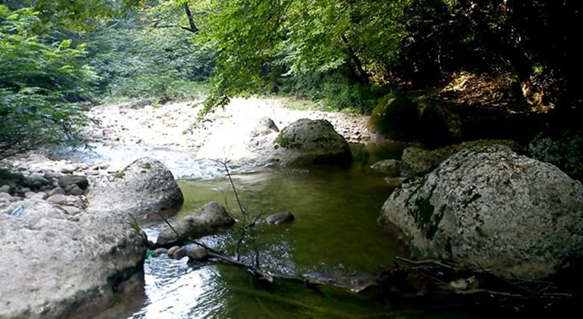  نارنج بن شیرگاه شهرستان مازندران استان شیرگاه