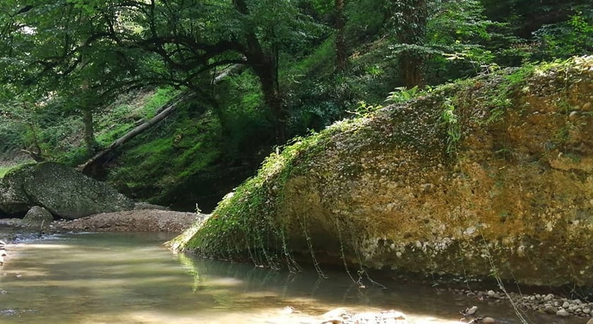 نارنج بن شیرگاه شهرستان مازندران استان شیرگاه