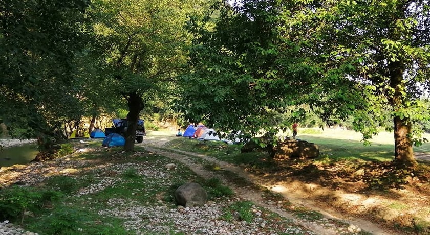 نارنج بن شیرگاه -  شهر شیرگاه