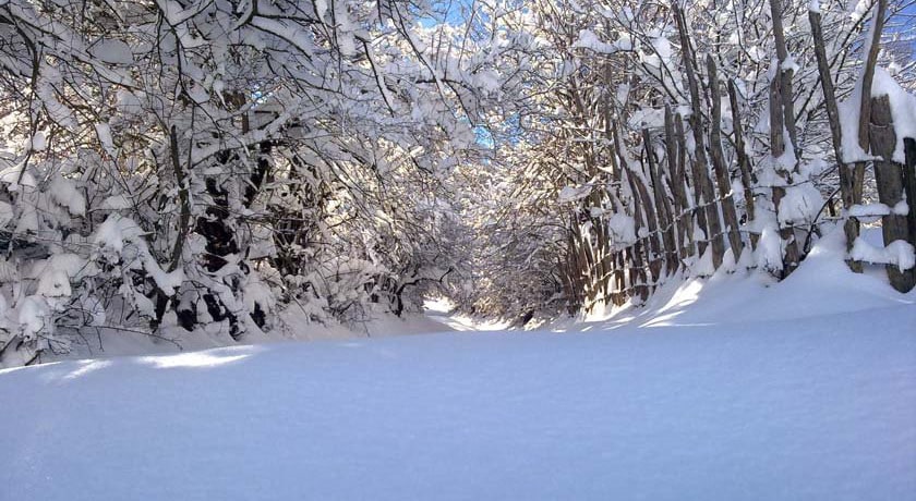  روستای ارم شهرستان مازندران استان نکا